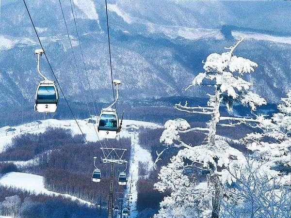 Shiobara Onsen Yama No Yado Shimofujiya Hotel Naszusiobara Kültér fotó